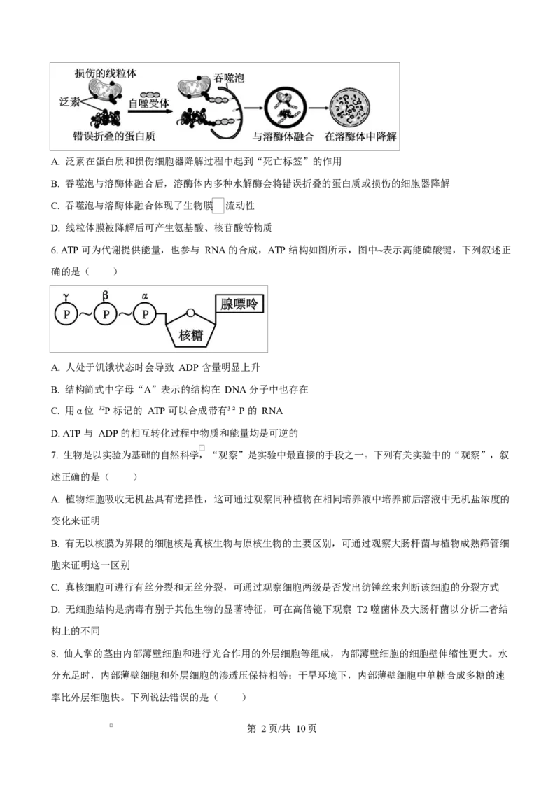 湖北省十堰市六县市区一中教联体学校2024-2025学年高一下学期3月月考生物试题（原卷版）_2025年04月试卷_0415湖北省十堰市六县市一中教联体2024-2025学年高一下学期3月联考