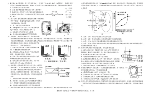 湖北省襄阳市第四中学2025-2026学年高一上学期11月期中考试生物试题（PDF版，含答案）_2025年12月高一试卷_251201湖北省襄阳市第四中学2025-2026学年高一上学期11月期中（全）