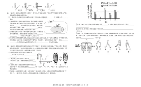 湖北省襄阳市第四中学2025-2026学年高一上学期11月期中考试生物试题（PDF版，含答案）_2025年12月高一试卷_251201湖北省襄阳市第四中学2025-2026学年高一上学期11月期中（全）