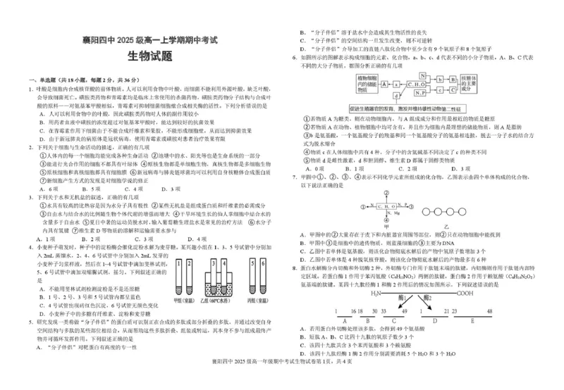 湖北省襄阳市第四中学2025-2026学年高一上学期11月期中考试生物试题（PDF版，含答案）_2025年12月高一试卷_251201湖北省襄阳市第四中学2025-2026学年高一上学期11月期中（全）