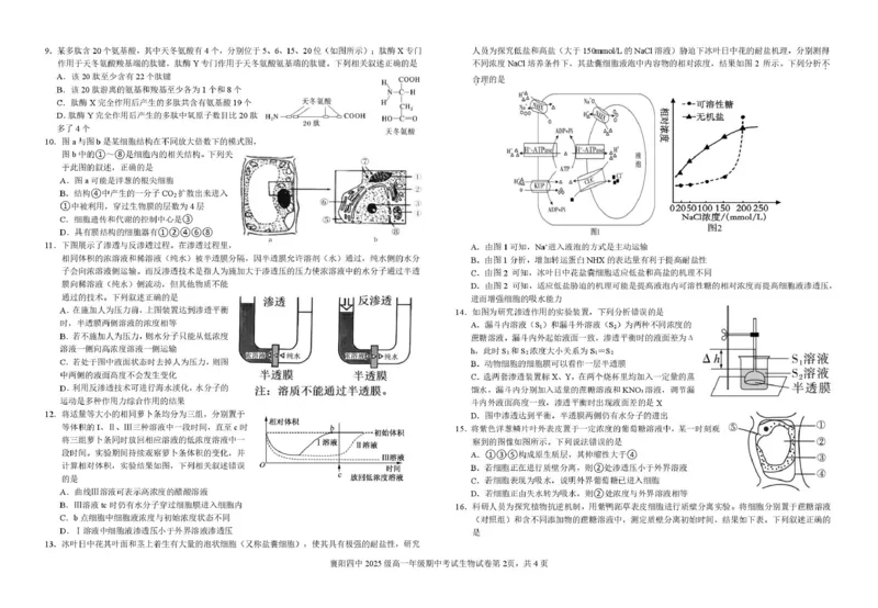 湖北省襄阳市第四中学2025-2026学年高一上学期11月期中考试生物试题（PDF版，含答案）_2025年12月高一试卷_251201湖北省襄阳市第四中学2025-2026学年高一上学期11月期中（全）