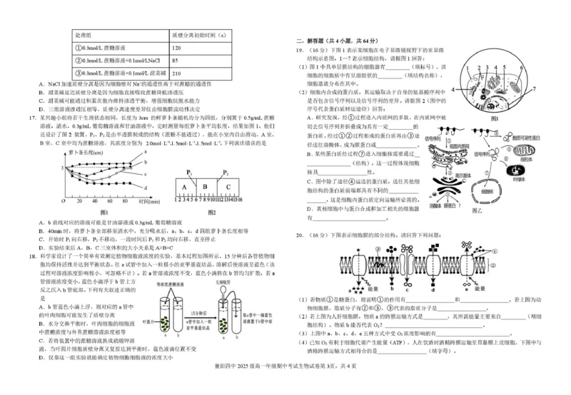 湖北省襄阳市第四中学2025-2026学年高一上学期11月期中考试生物试题（PDF版，含答案）_2025年12月高一试卷_251201湖北省襄阳市第四中学2025-2026学年高一上学期11月期中（全）