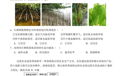 湖北省沙市中学2025-2026学年高一上学期1月月考地理试卷（含答案）_2026年02月高一试卷_260201湖北省荆州市沙市中学2025-2026学年高一上学期1月月考