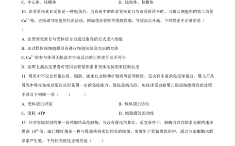 湖北省武汉市2024-2025学年高一上学期1月期末生物试题（原卷版）_2025年03月试卷_0321湖北省武汉市2024-2025学年高一上学期1月期末试题