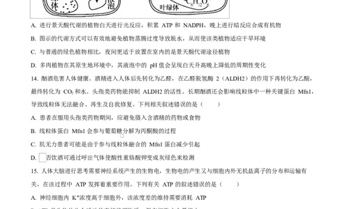 湖北省武汉市2024-2025学年高一上学期1月期末生物试题（原卷版）_2025年03月试卷_0321湖北省武汉市2024-2025学年高一上学期1月期末试题