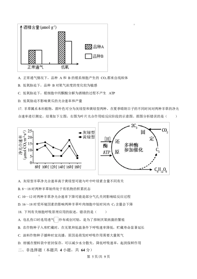湖北省武汉市2024-2025学年高一上学期1月期末生物试题（原卷版）_2025年03月试卷_0321湖北省武汉市2024-2025学年高一上学期1月期末试题