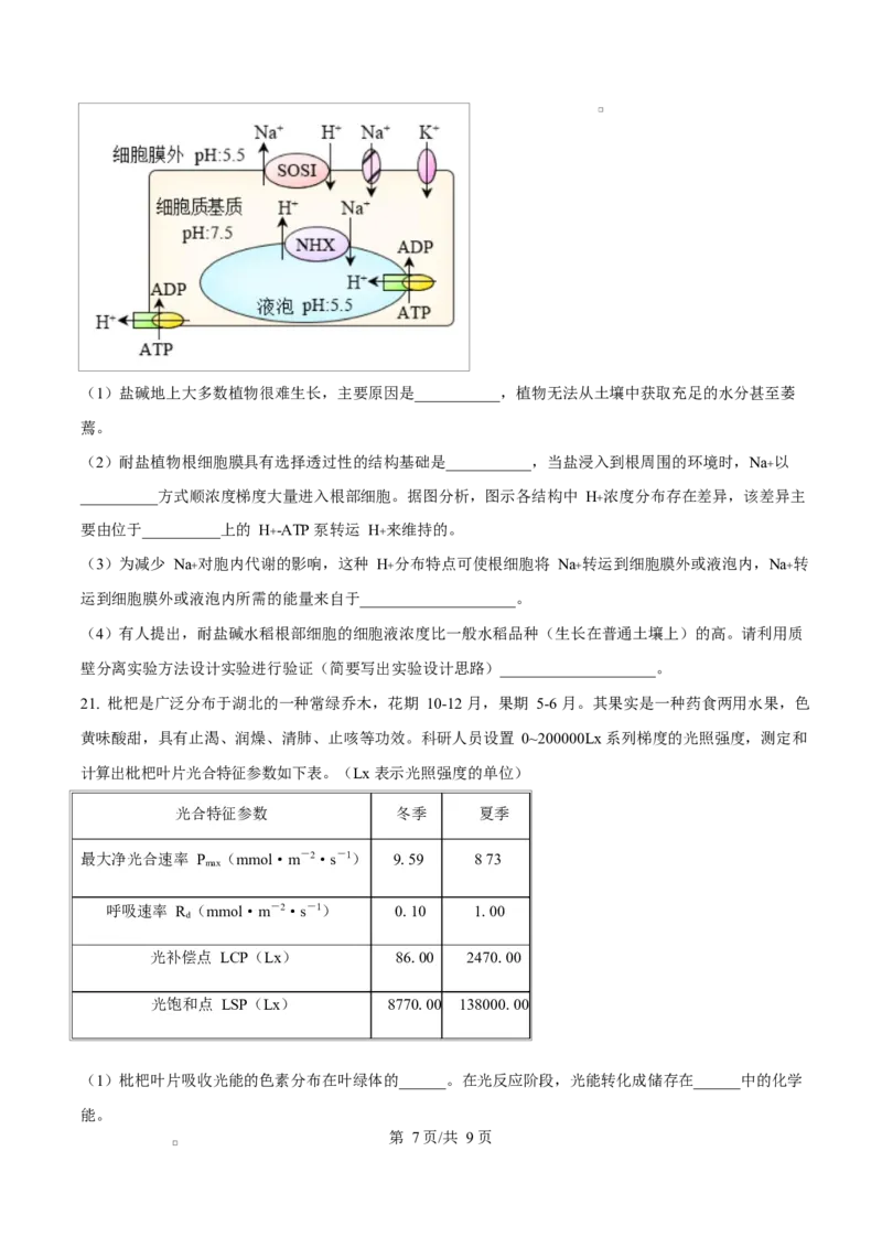 湖北省武汉市2024-2025学年高一上学期1月期末生物试题（原卷版）_2025年03月试卷_0321湖北省武汉市2024-2025学年高一上学期1月期末试题