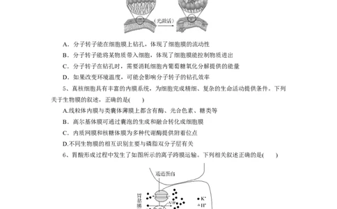 湖北省部分高中协作体2024-2025学年高一下学期4月期中生物试题_2025年04月试卷_0418湖北省部分高中协作体2024-2025学年高一下学期4月期中联考