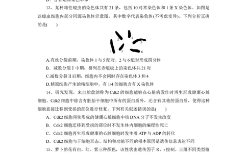 湖北省部分高中协作体2024-2025学年高一下学期4月期中生物试题_2025年04月试卷_0418湖北省部分高中协作体2024-2025学年高一下学期4月期中联考