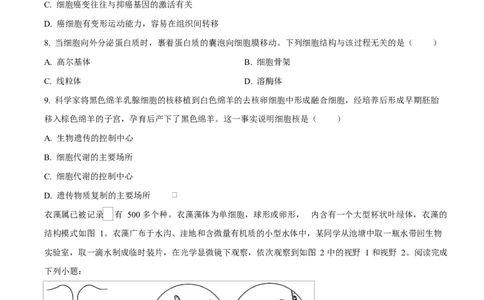 浙江省绍兴市2024-2025学年高一上学期期末调测生物试题Word版无答案_2025年03月试卷_0303浙江省绍兴市2024-2025学年高一上学期1月期末考试