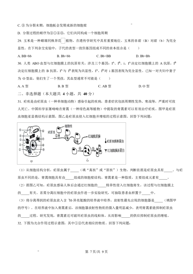 浙江省绍兴市2024-2025学年高一上学期期末调测生物试题Word版无答案_2025年03月试卷_0303浙江省绍兴市2024-2025学年高一上学期1月期末考试