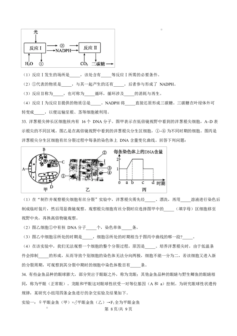 浙江省绍兴市2024-2025学年高一上学期期末调测生物试题Word版无答案_2025年03月试卷_0303浙江省绍兴市2024-2025学年高一上学期1月期末考试