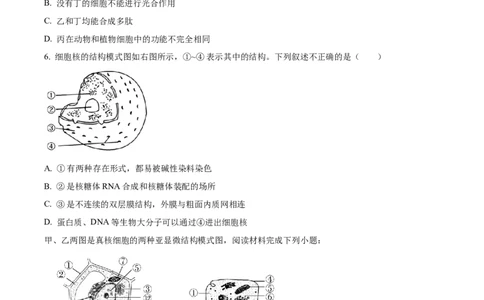 浙江省金砖联盟2024-2025学年高一上学期期中联考生物试卷Word版无答案_2024年11月试卷_1113浙江省金砖联盟2024-2025学年高一上学期期中联考