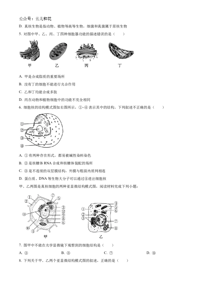 浙江省金砖联盟2024-2025学年高一上学期期中联考生物试卷Word版无答案_2024年11月试卷_1113浙江省金砖联盟2024-2025学年高一上学期期中联考