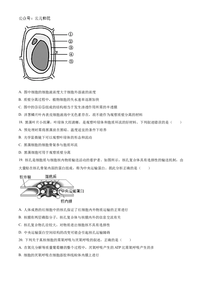 浙江省金砖联盟2024-2025学年高一上学期期中联考生物试卷Word版无答案_2024年11月试卷_1113浙江省金砖联盟2024-2025学年高一上学期期中联考