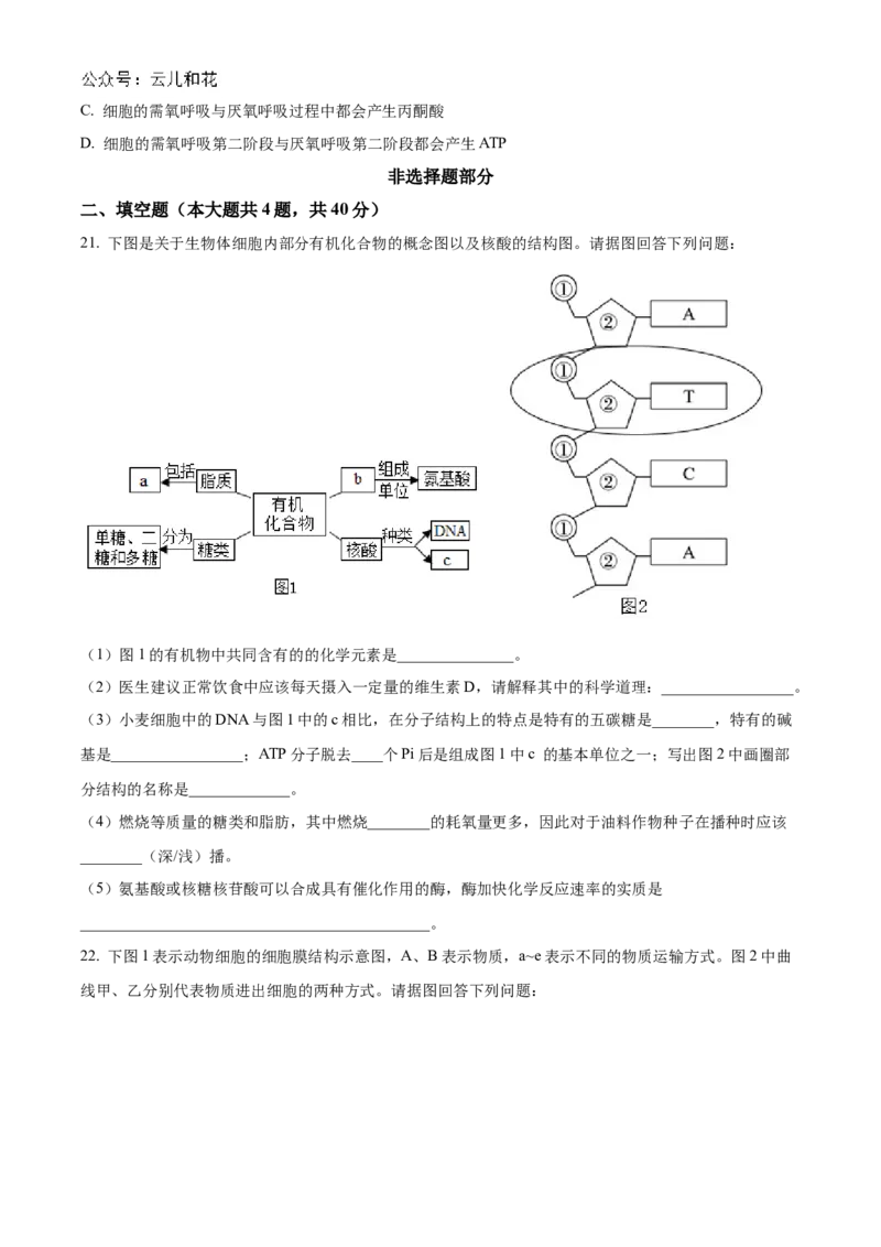 浙江省金砖联盟2024-2025学年高一上学期期中联考生物试卷Word版无答案_2024年11月试卷_1113浙江省金砖联盟2024-2025学年高一上学期期中联考