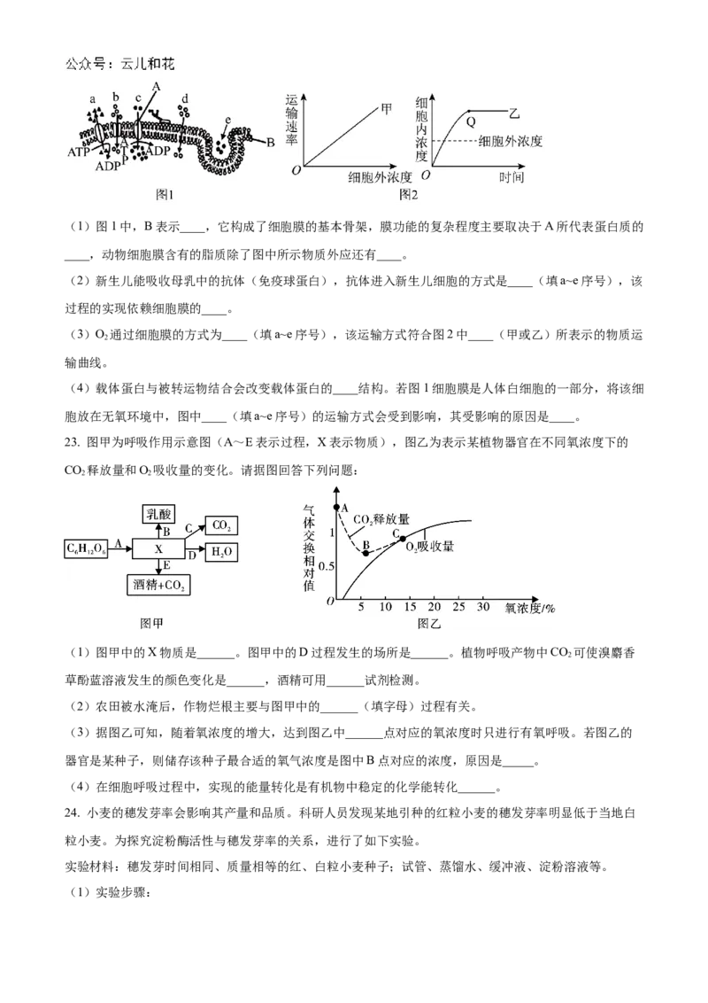 浙江省金砖联盟2024-2025学年高一上学期期中联考生物试卷Word版无答案_2024年11月试卷_1113浙江省金砖联盟2024-2025学年高一上学期期中联考