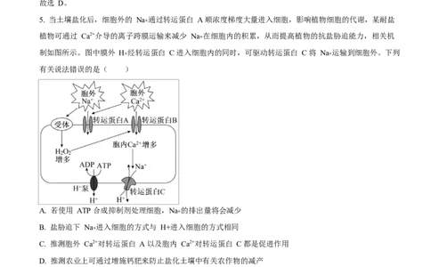 湖北省部分名校2024-2025学年高一下学期3月联考生物试卷Word版含解析_2025年04月试卷_0422湖北省部分名校2024-2025学年高一下学期3月联考