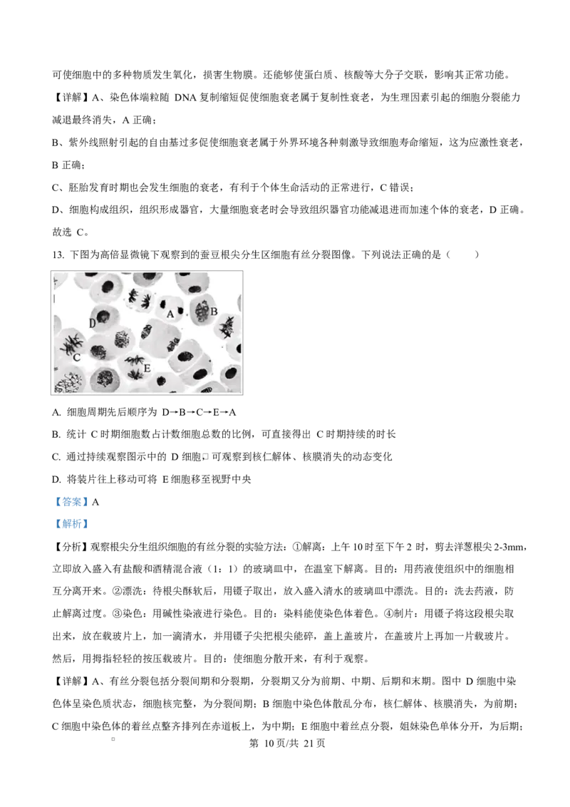 湖北省部分名校2024-2025学年高一下学期3月联考生物试卷Word版含解析_2025年04月试卷_0422湖北省部分名校2024-2025学年高一下学期3月联考