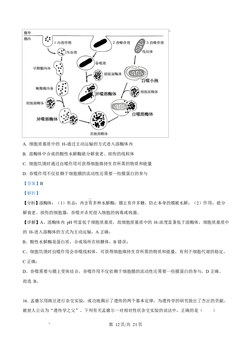 湖北省部分名校2024-2025学年高一下学期3月联考生物试卷Word版含解析_2025年04月试卷_0422湖北省部分名校2024-2025学年高一下学期3月联考