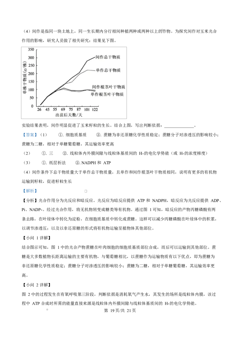 湖北省部分名校2024-2025学年高一下学期3月联考生物试卷Word版含解析_2025年04月试卷_0422湖北省部分名校2024-2025学年高一下学期3月联考