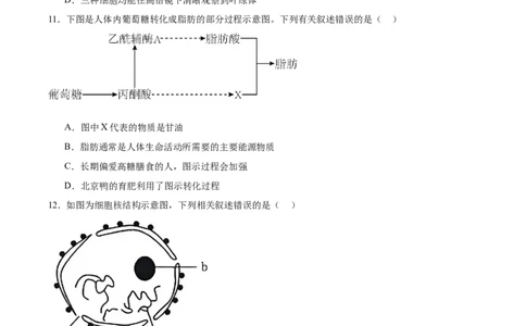 浙江省宁波三锋联盟2025-2026学年高一上学期11月期中联考生物试卷（含答案）_2025年12月高一试卷_251206浙江省宁波三锋联盟2025-2026学年高一上学期11月期中考试（全）