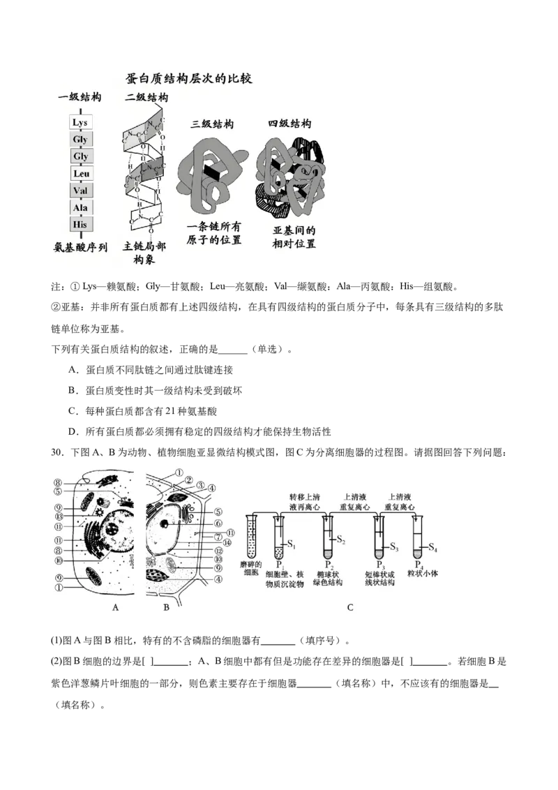 浙江省宁波三锋联盟2025-2026学年高一上学期11月期中联考生物试卷（含答案）_2025年12月高一试卷_251206浙江省宁波三锋联盟2025-2026学年高一上学期11月期中考试（全）