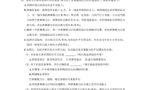 物理问卷_2025年03月试卷_0304广东实验中学2024-2025学年高一下学期开学考试_广东省广州市广东实验中学2024-2025学年高一下学期开学考试物理试卷（PDF版，含答案）
