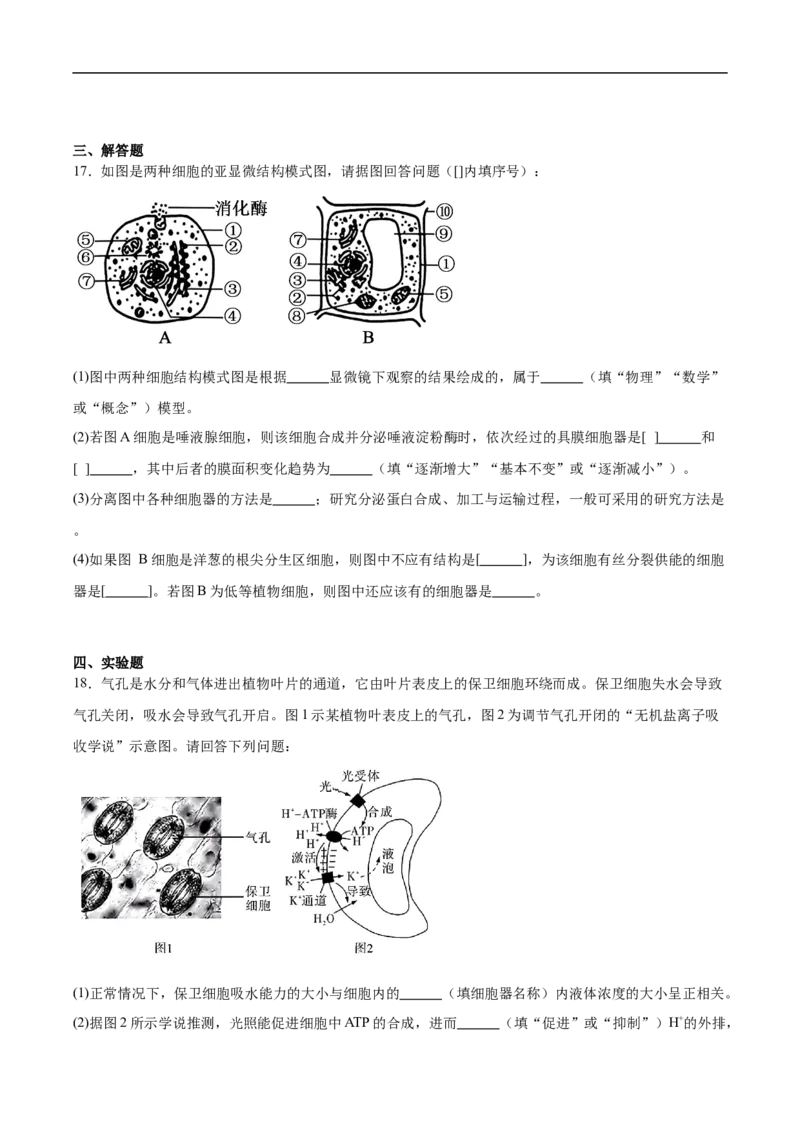 湖南师范大学附属中学2025-2026学年高一上学期期末生物试卷（含答案）_2026年02月高一试卷_260208湖南师范大学附属中学2025-2026学年高一上学期1月期末试题（全）