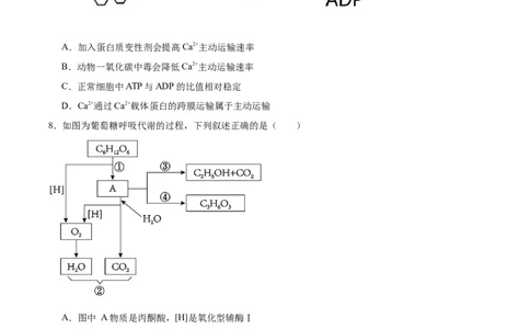 湖南师范大学附属中学2025-2026学年高一上学期期末生物试卷（含答案）_2026年02月高一试卷_260208湖南师范大学附属中学2025-2026学年高一上学期1月期末试题（全）