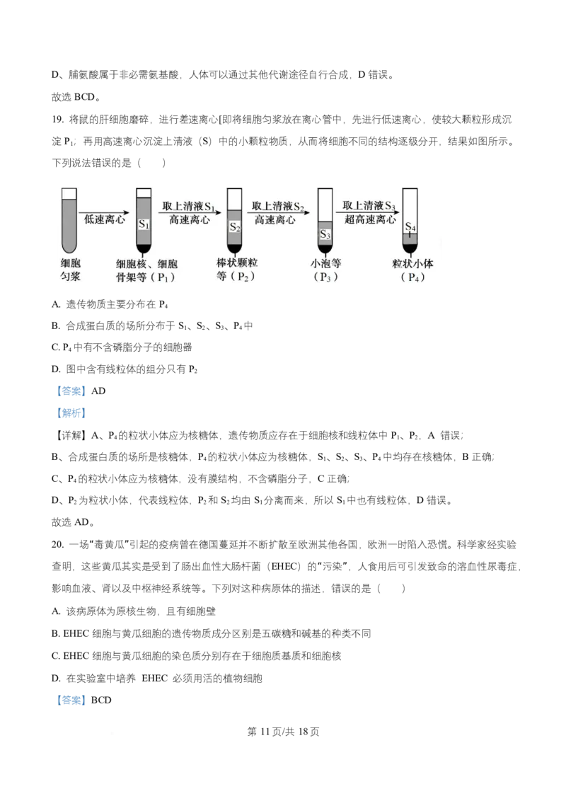 湖南省长沙市长郡中学2025-2026学年高一上学期11月期中生物试题Word版含解析_2025年11月高一试卷_251116湖南省长沙市长郡中学2025-2026学年高一上学期期中考试（全）