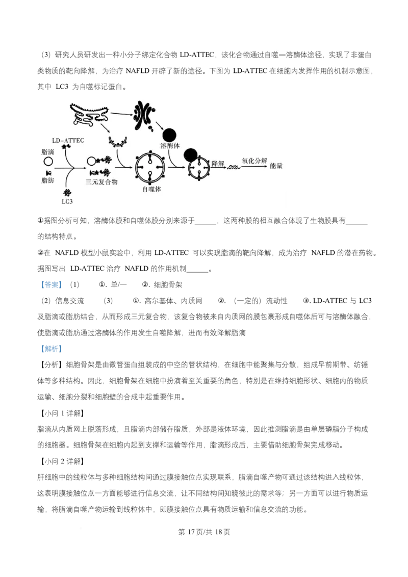 湖南省长沙市长郡中学2025-2026学年高一上学期11月期中生物试题Word版含解析_2025年11月高一试卷_251116湖南省长沙市长郡中学2025-2026学年高一上学期期中考试（全）
