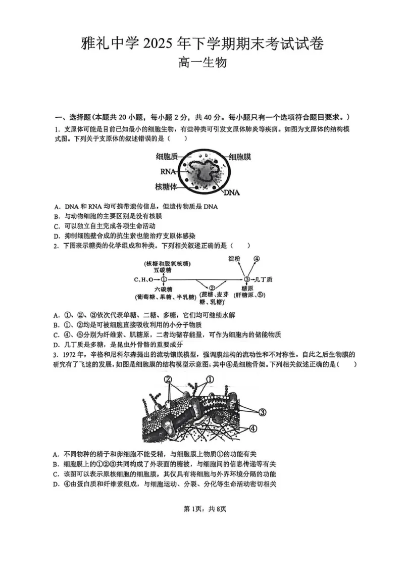 湖南省长沙市雅礼中学2025-2026学年高一上学期期末考试生物试卷（PDF版，含答案）_2026年02月高一试卷_260207湖南省长沙市雅礼中学2025-2026学年高一上学期期末考试
