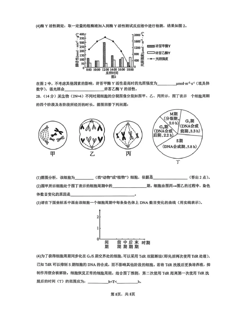 湖南省长沙市雅礼中学2025-2026学年高一上学期期末考试生物试卷（PDF版，含答案）_2026年02月高一试卷_260207湖南省长沙市雅礼中学2025-2026学年高一上学期期末考试