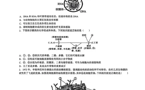 湖南省长沙市雅礼中学2025-2026学年高一上学期期末考试生物试卷（PDF版，含答案）_2026年02月高一试卷_260207湖南省长沙市雅礼中学2025-2026学年高一上学期期末考试