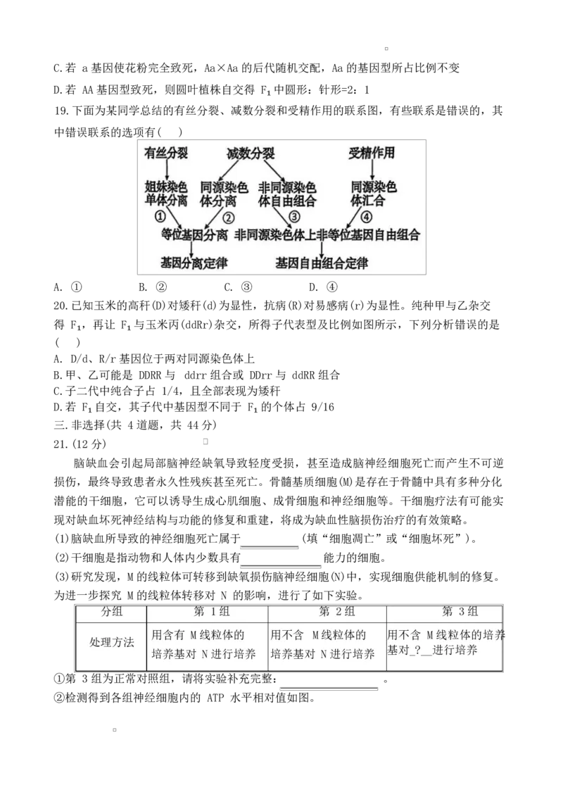 湖南省长沙市雅礼教育集团2024-2025学年高一下学期期中考试生物试题_2025年05月试卷_0503湖南省长沙市雅礼教育集团2024-2025学年高一下学期期中