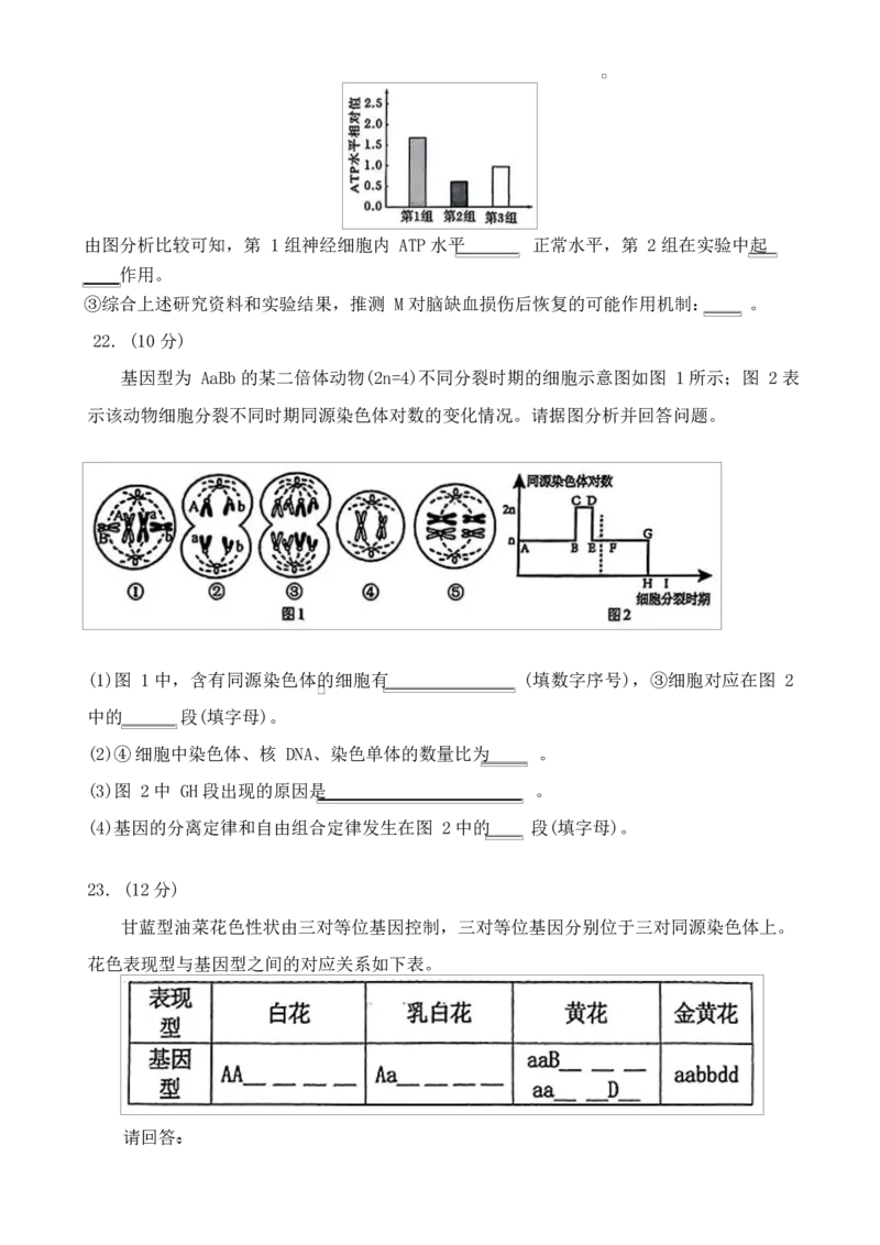 湖南省长沙市雅礼教育集团2024-2025学年高一下学期期中考试生物试题_2025年05月试卷_0503湖南省长沙市雅礼教育集团2024-2025学年高一下学期期中