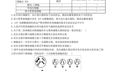 湖南省长沙市雅礼教育集团2024-2025学年高一下学期期中考试生物试题_2025年05月试卷_0503湖南省长沙市雅礼教育集团2024-2025学年高一下学期期中
