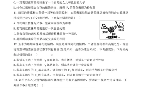 湖南省长沙市雅礼教育集团2024-2025学年高一下学期期中考试生物试题_2025年05月试卷_0503湖南省长沙市雅礼教育集团2024-2025学年高一下学期期中