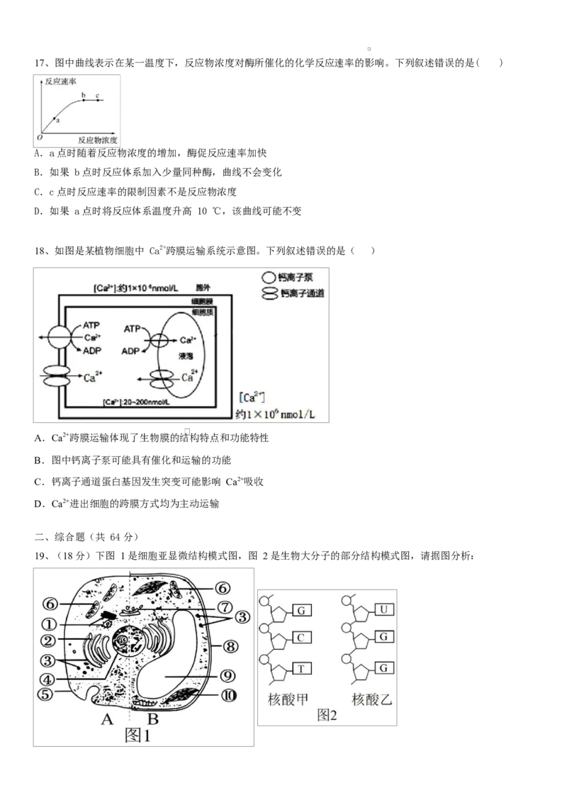湖北省黄冈市黄梅县育才高级中学2025-2026学年高一上学期12月月考生物试题_2026年01月高一试卷_260102湖北省黄冈市黄梅县育才高级中学2025-2026学年高一上学期12月月考