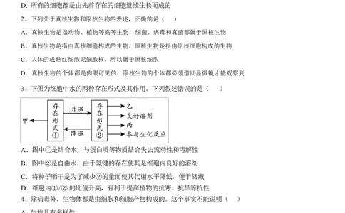 湖北省黄冈市黄梅县育才高级中学2025-2026学年高一上学期12月月考生物试题_2026年01月高一试卷_260102湖北省黄冈市黄梅县育才高级中学2025-2026学年高一上学期12月月考