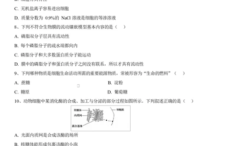 湖北省黄冈市黄梅县育才高级中学2025-2026学年高一上学期12月月考生物试题_2026年01月高一试卷_260102湖北省黄冈市黄梅县育才高级中学2025-2026学年高一上学期12月月考