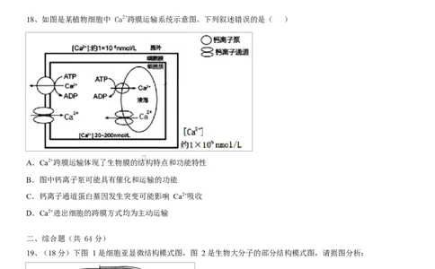 湖北省黄冈市黄梅县育才高级中学2025-2026学年高一上学期12月月考生物试题_2026年01月高一试卷_260102湖北省黄冈市黄梅县育才高级中学2025-2026学年高一上学期12月月考