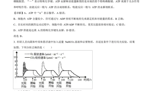 湖南省长沙市雅礼教育集团高一联考2024-2025学年高一下学期3月月考生物试题Word版含解析_2025年04月试卷_0417湖南省长沙市雅礼教育集团2024-2025学年高一下学期3月联考