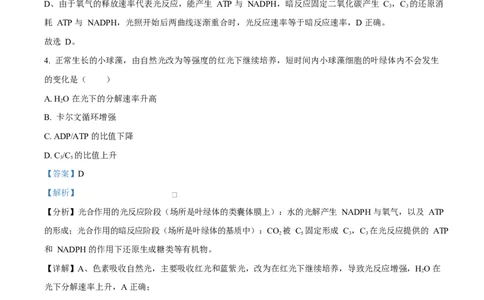 湖南省长沙市雅礼教育集团高一联考2024-2025学年高一下学期3月月考生物试题Word版含解析_2025年04月试卷_0417湖南省长沙市雅礼教育集团2024-2025学年高一下学期3月联考