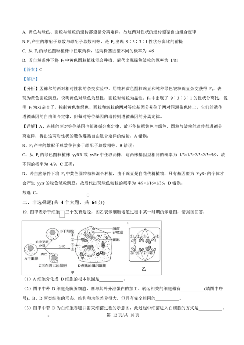 湖北省黄冈市蕲春县第一高级中学2024-2025学年高一下学期3月月考生物试题Word版含解析_2025年03月试卷_0320湖北省黄冈市蕲春县第一高级中学2024-2025学年高一下学期3月月考