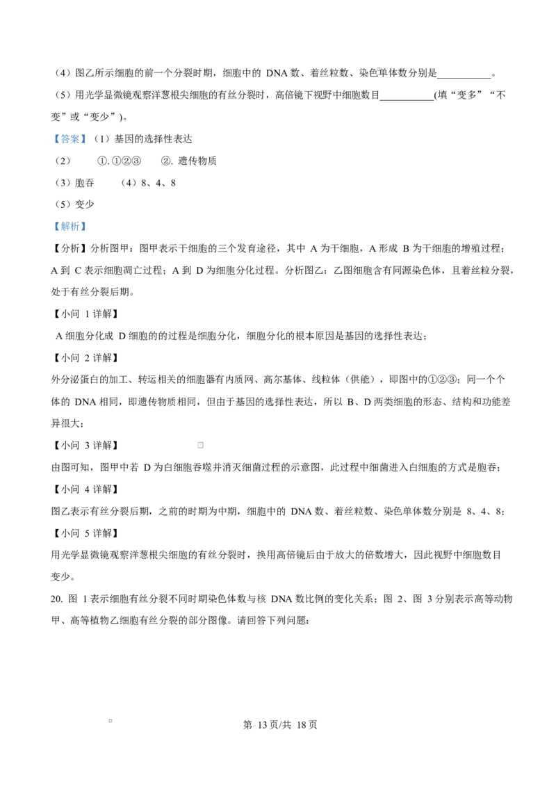 湖北省黄冈市蕲春县第一高级中学2024-2025学年高一下学期3月月考生物试题Word版含解析_2025年03月试卷_0320湖北省黄冈市蕲春县第一高级中学2024-2025学年高一下学期3月月考