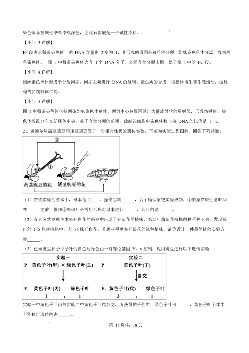 湖北省黄冈市蕲春县第一高级中学2024-2025学年高一下学期3月月考生物试题Word版含解析_2025年03月试卷_0320湖北省黄冈市蕲春县第一高级中学2024-2025学年高一下学期3月月考