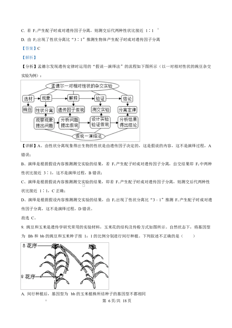 湖北省黄冈市蕲春县第一高级中学2024-2025学年高一下学期3月月考生物试题Word版含解析_2025年03月试卷_0320湖北省黄冈市蕲春县第一高级中学2024-2025学年高一下学期3月月考