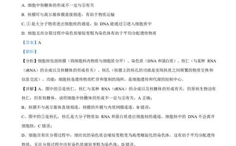 湖北省黄冈市蕲春县第一高级中学2024-2025学年高一下学期3月月考生物试题Word版含解析_2025年03月试卷_0320湖北省黄冈市蕲春县第一高级中学2024-2025学年高一下学期3月月考